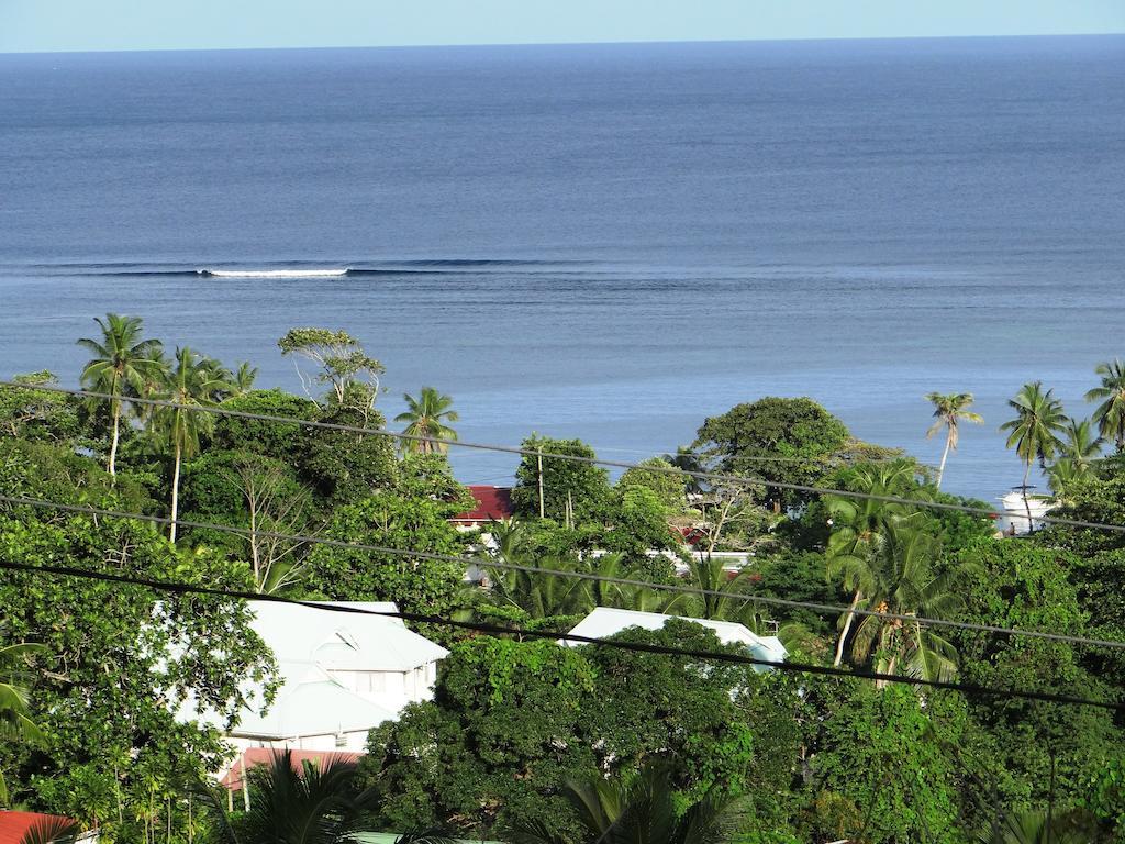 Ferienwohnung The Reef Palm Anse aux Pins Exterior foto